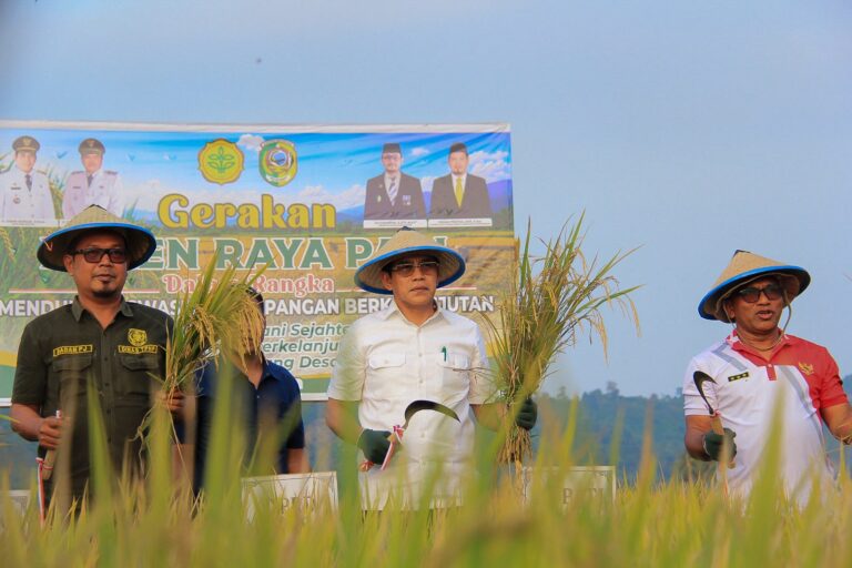 Gerakan Panen Raya Padi di Desa Suli Indah, Parigi Moutong