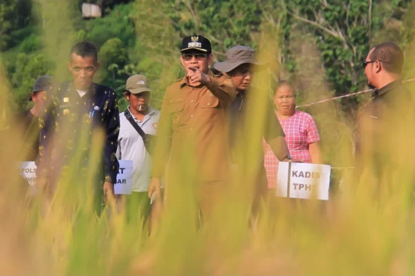 Panen Perdana Cetak Sawah Rakyat, Parigi Moutong Perkuat Langkah Menuju Swasembada Pangan